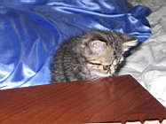 IMG_0620.jpg