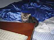 IMG_0626.jpg