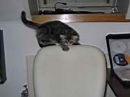 IMG_0664.jpg