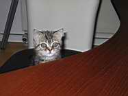 IMG_0666.jpg
