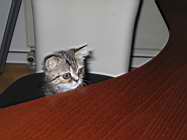 IMG_0667.jpg