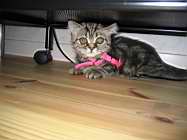 IMG_0733.JPG