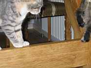 IMG_0736.JPG