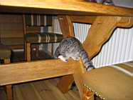IMG_0737.JPG