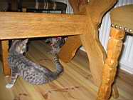 IMG_0738.JPG
