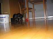 IMG_0785.JPG