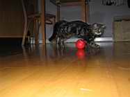 IMG_0786.JPG