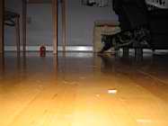 IMG_0792.JPG