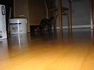 IMG_0793.JPG
