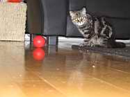 IMG_0797.JPG