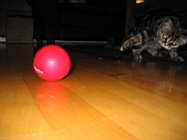 IMG_0803.JPG