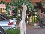IMG_1424.JPG