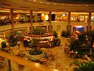 IMG_1451.JPG