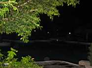 IMG_1474.JPG