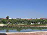 IMG_1485.JPG